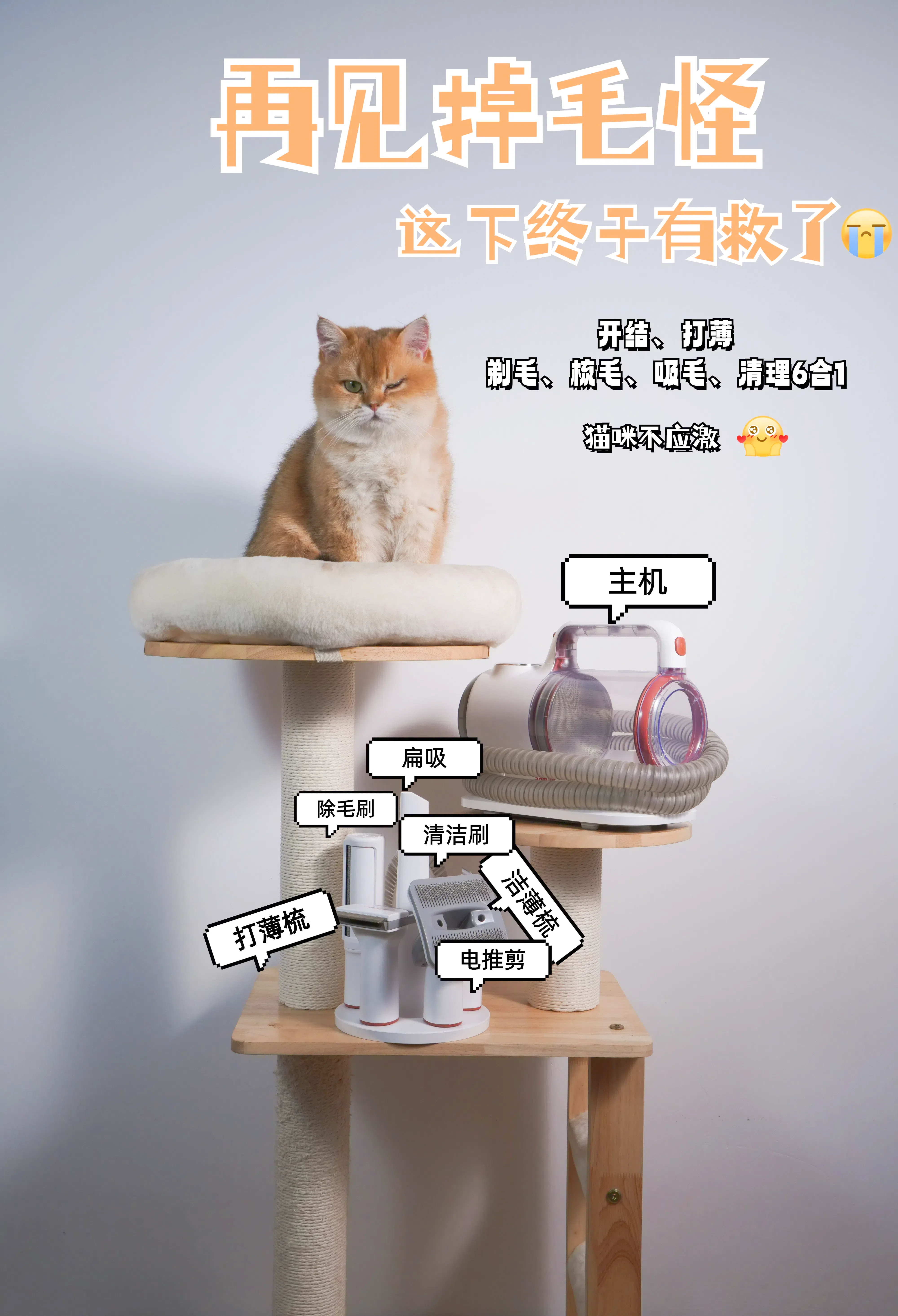 凯时游戏娱乐官网