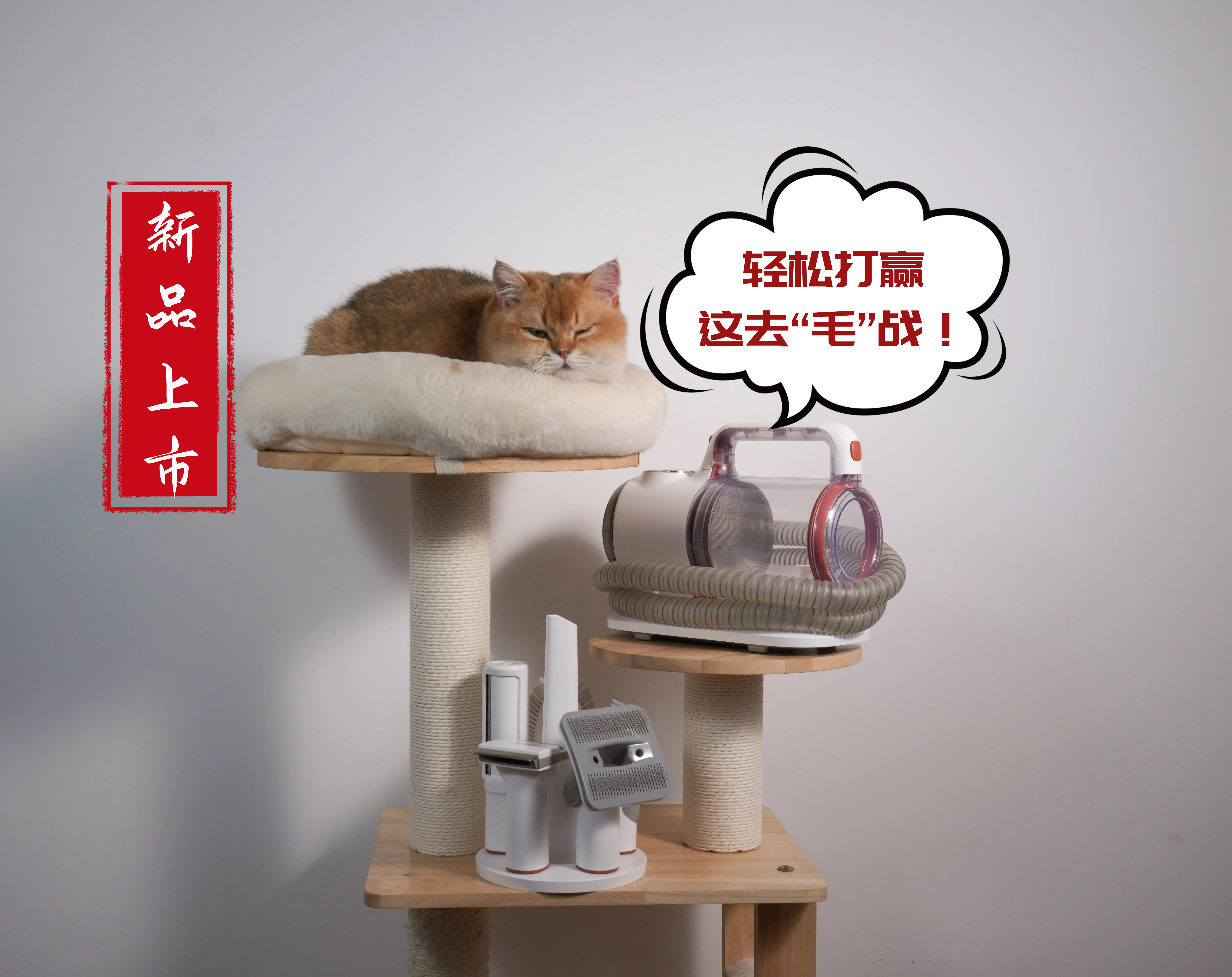 凯时游戏娱乐官网