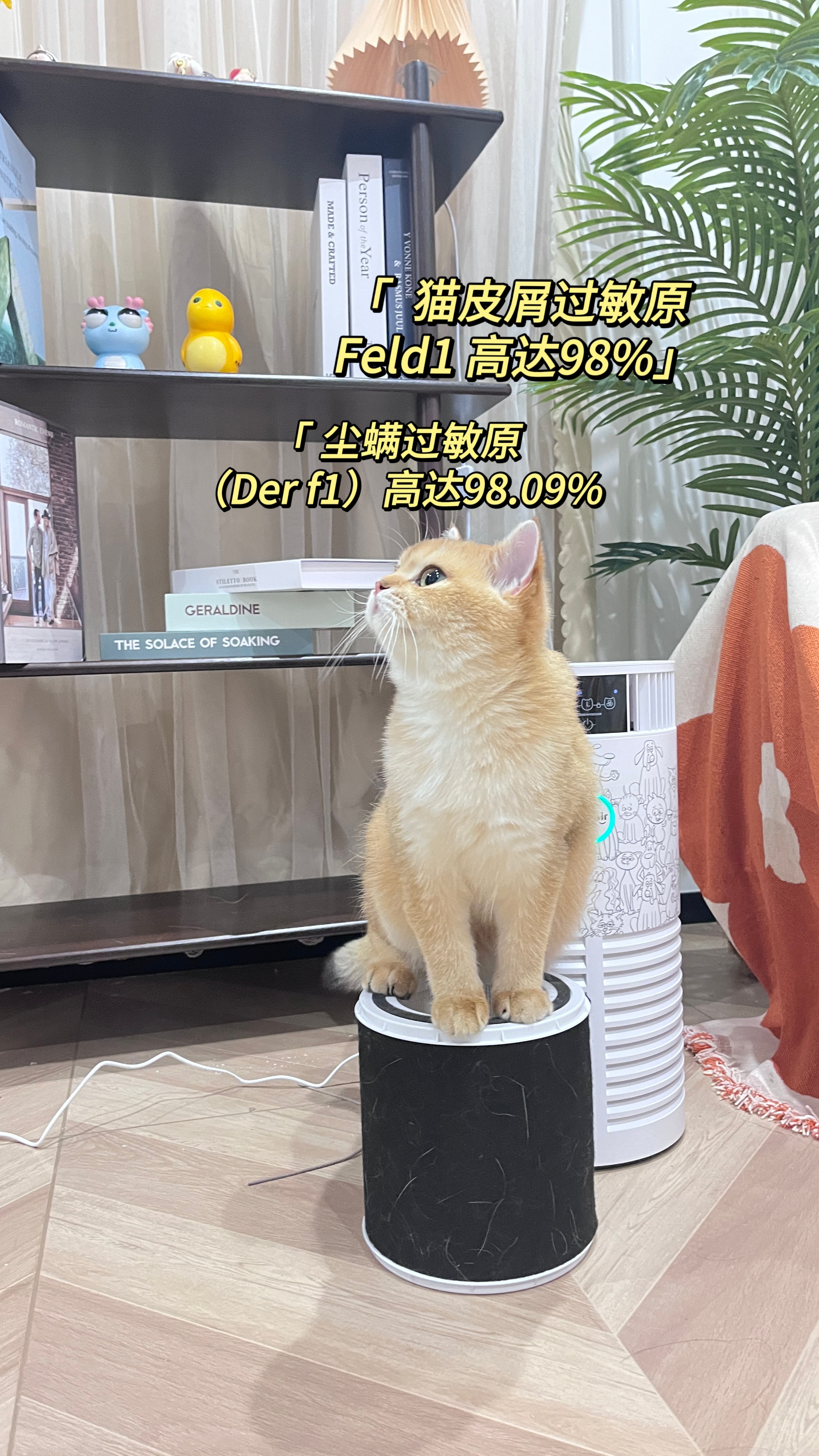 凯时游戏娱乐官网