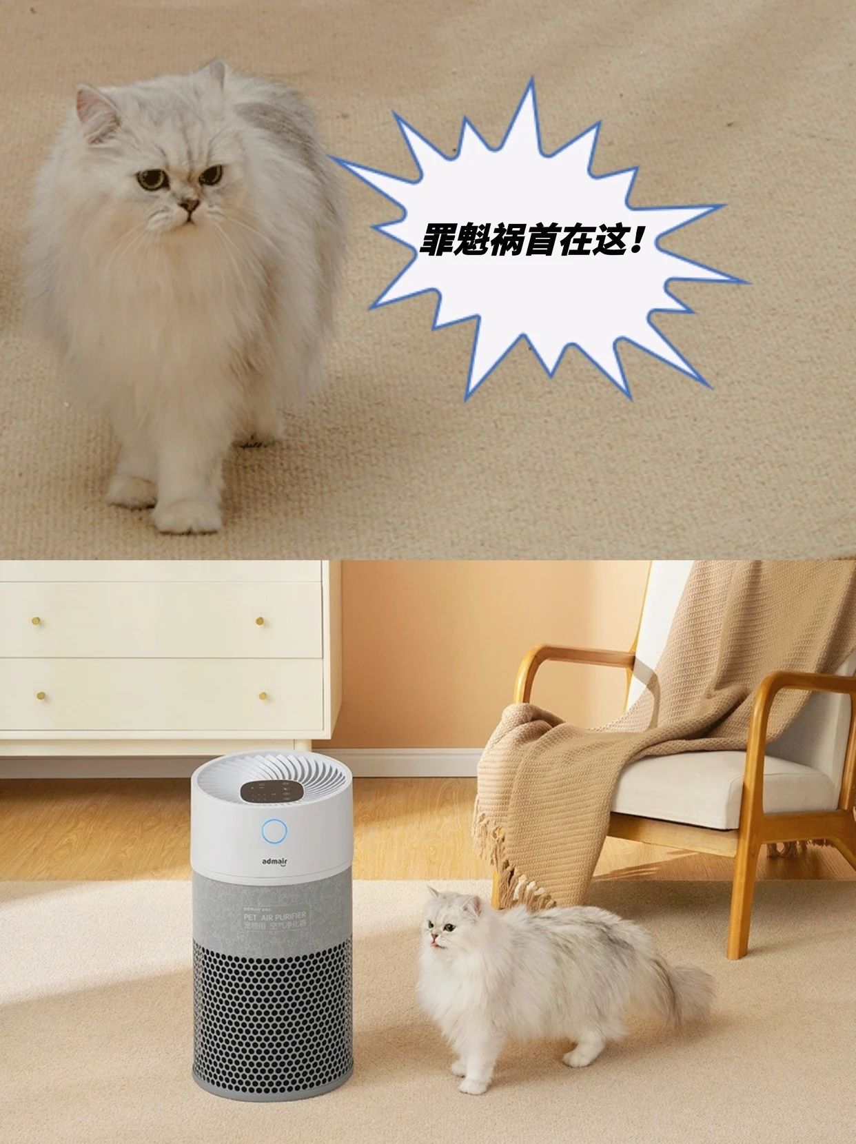 凯时游戏娱乐官网